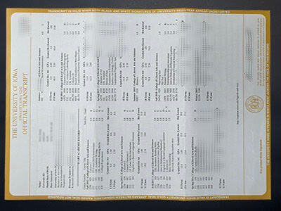 get University of Iowa transcript