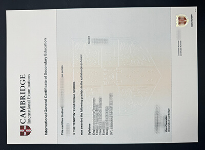 realistic Cambridge IGCSE certificate