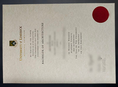 Order University of Limerick diploma