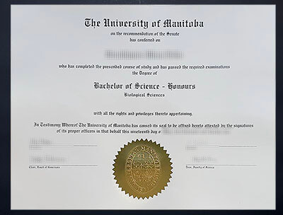 fake University of Manitoba diploma